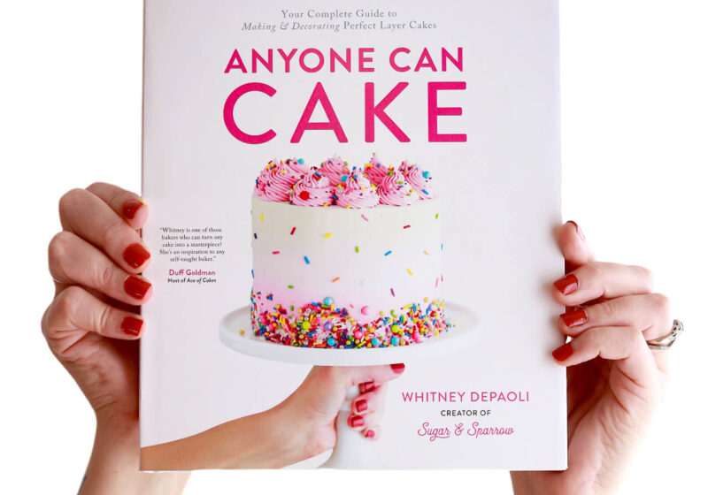 anyone can cake by whitney depaoli