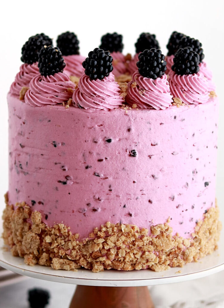 blackberry crisp layer cake recipe by sugar and sparrow