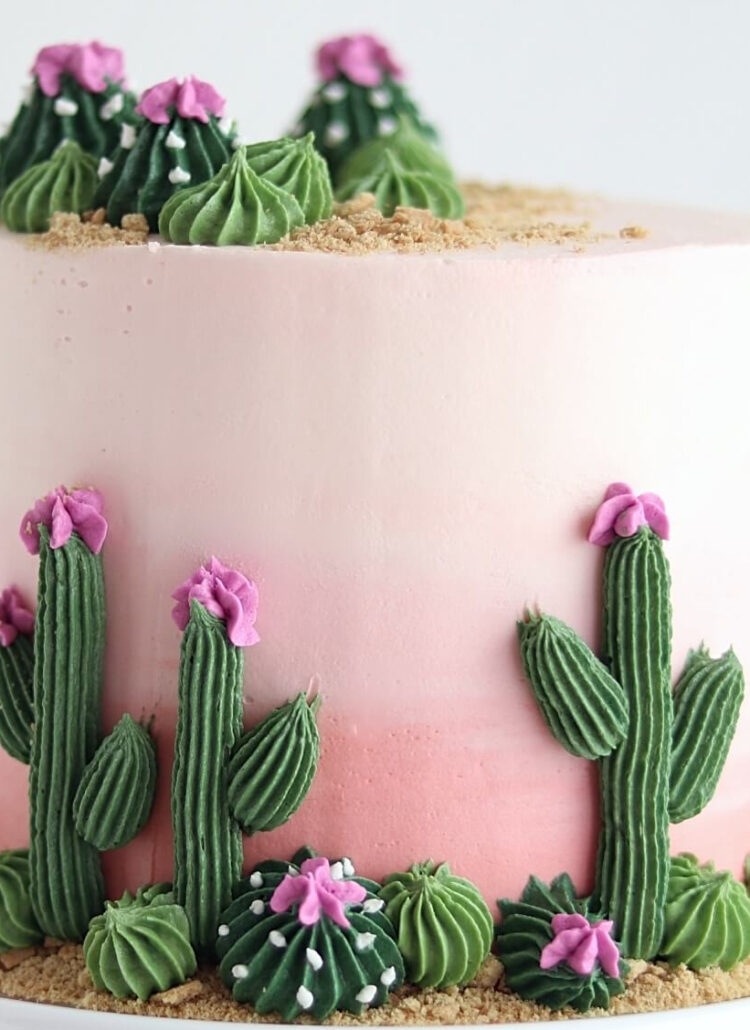 cactus cake by sugar and sparrow