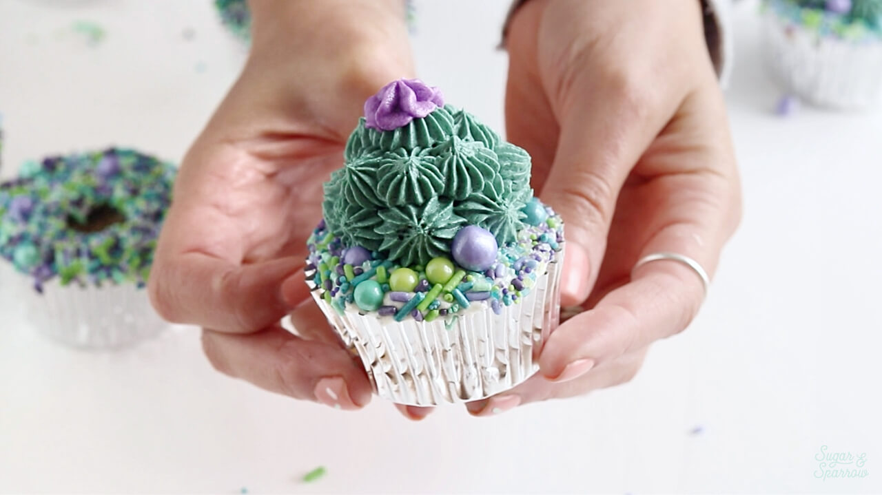 succulent cupcakes with sprinkles