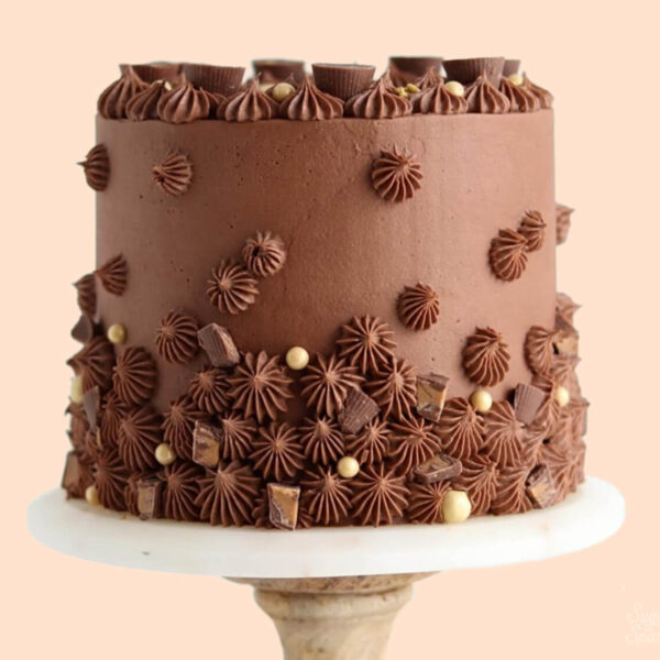 chocolate peanut butter cake recipe by sugar and sparrow