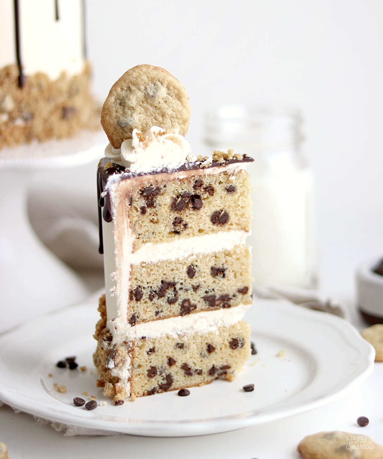 chocolate chip cake recipe