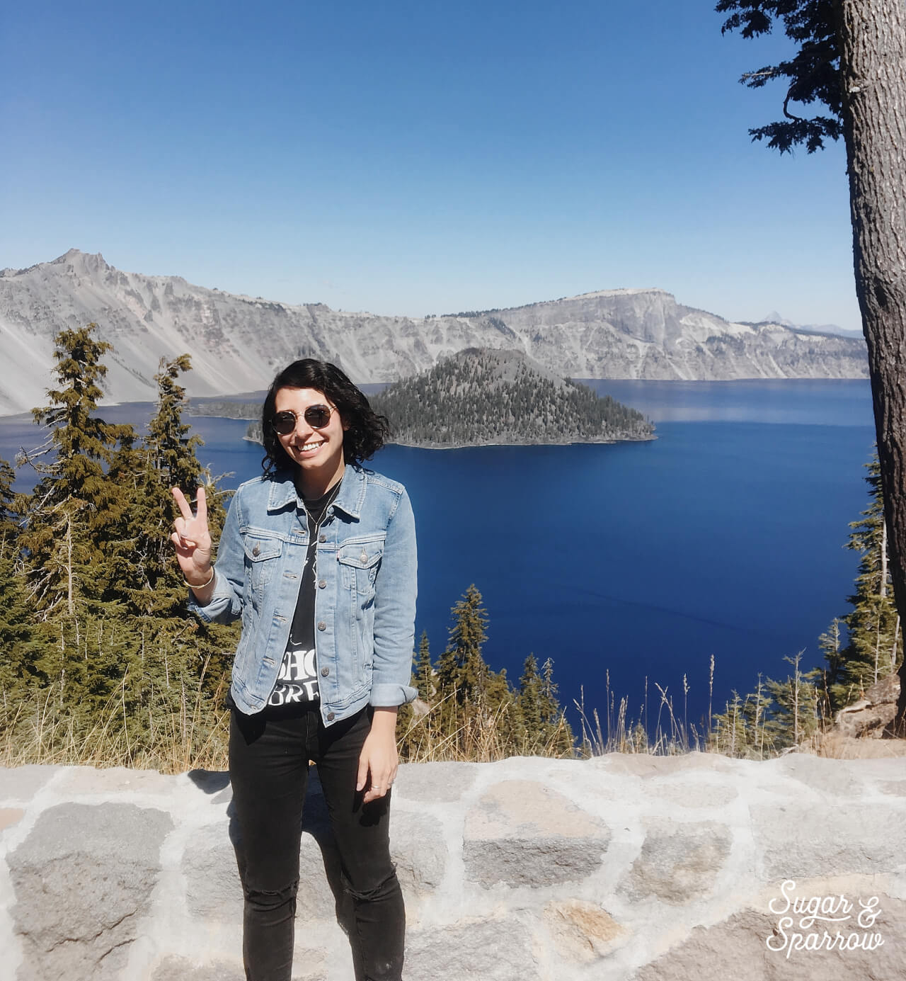 sugar and sparrow at crater lake national park