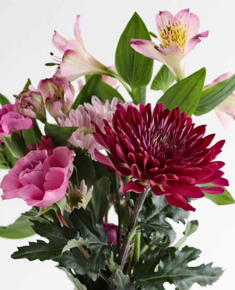 fresh flowers on cake