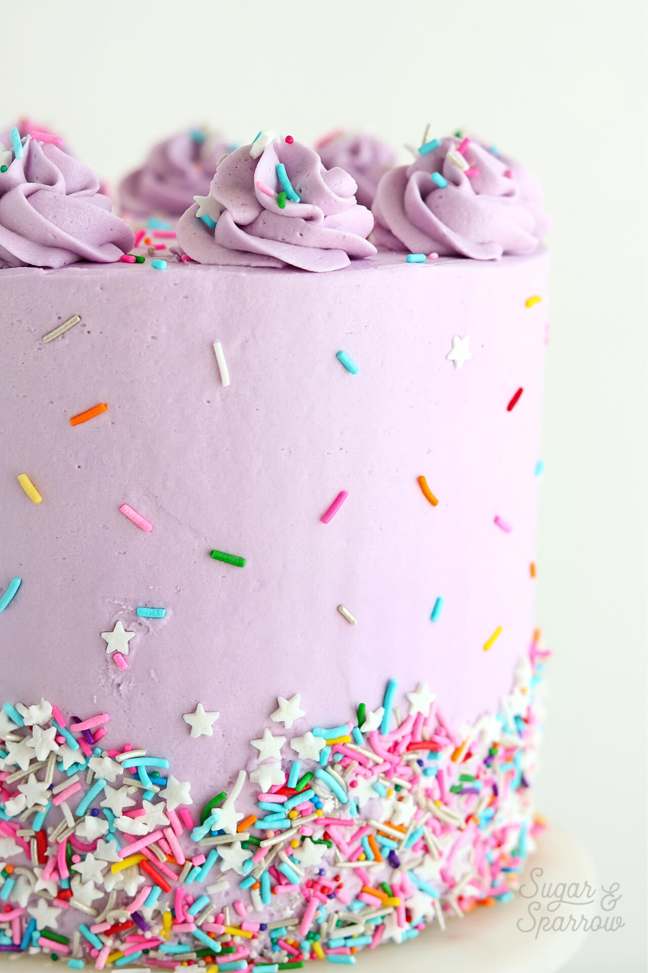 funfetti cake by sugar and sparrow