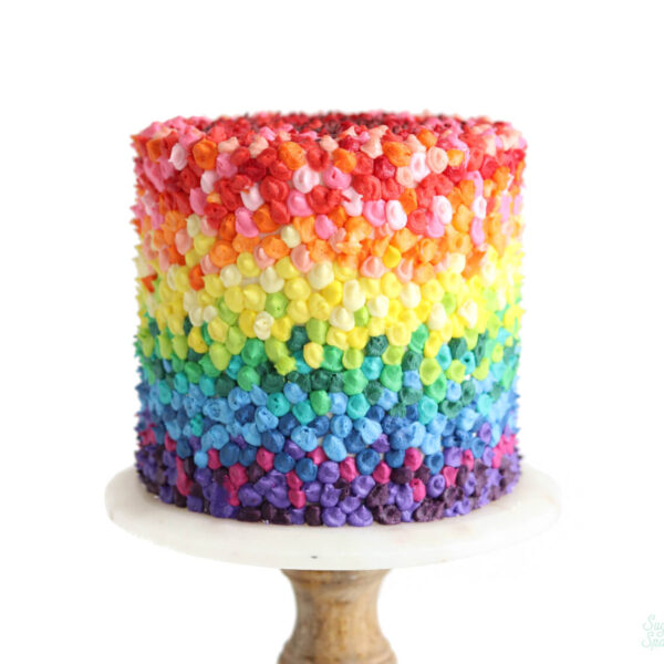 rainbow cake by sugar and sparrow