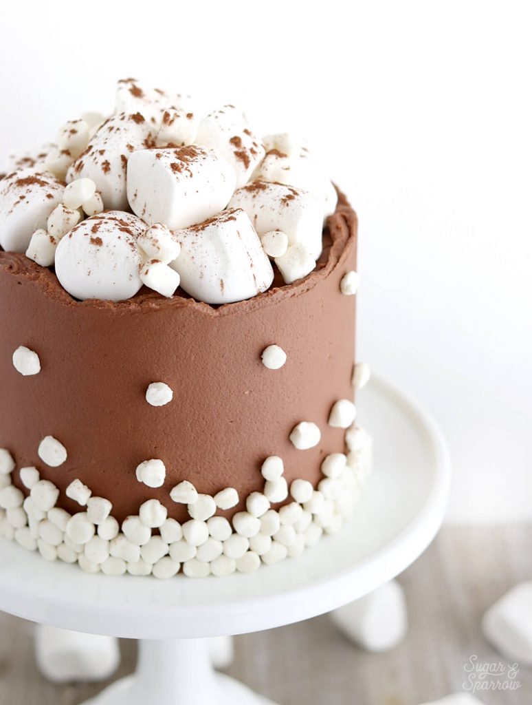 hot cocoa cake with marshmallows