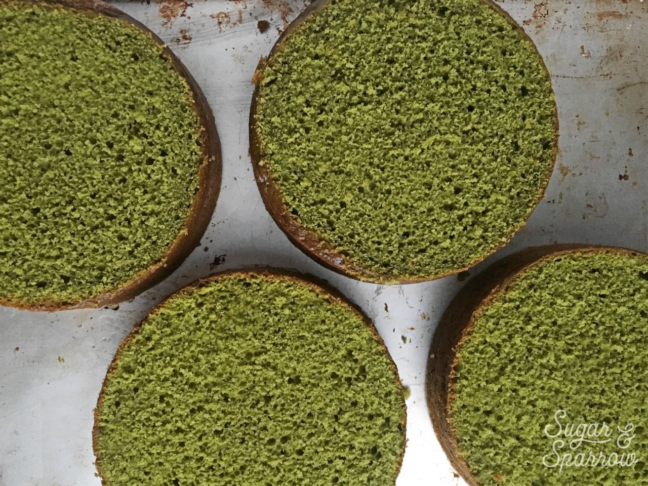 Matcha cake layers from scratch