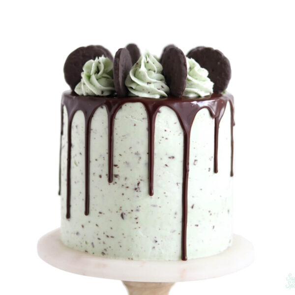 mint chocolate chip cake by sugar and sparrow