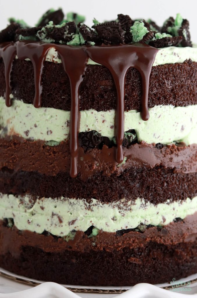 layers of mint chocolate chip ice cream, hot fudge, chocolate cake, and mint Oreos