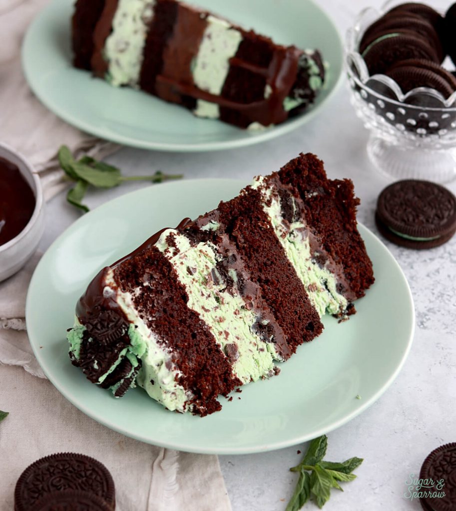 mint chocolate chip ice cream cake with hot fudge filling
