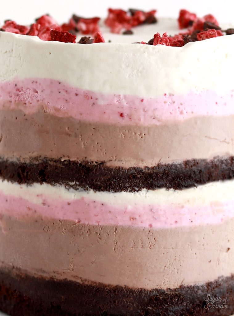 neapolitan ice cream layer cake recipe