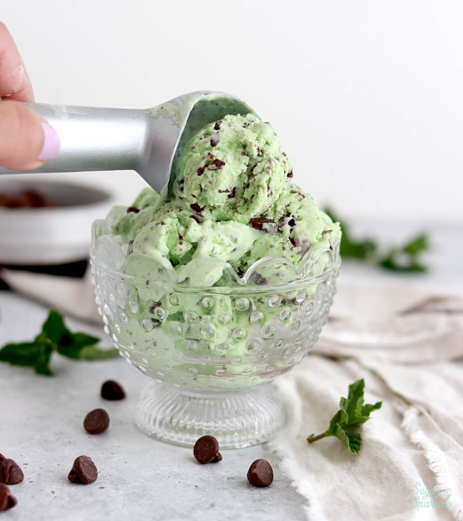 easy mint chocolate chip ice cream recipe