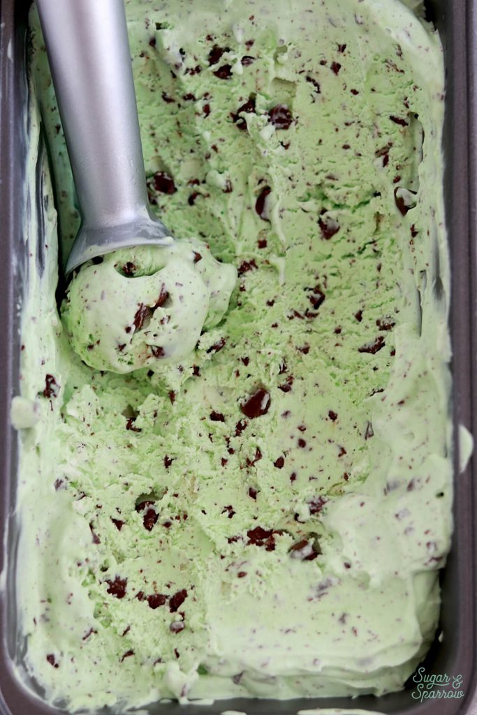 mint chocolate chip ice cream recipe