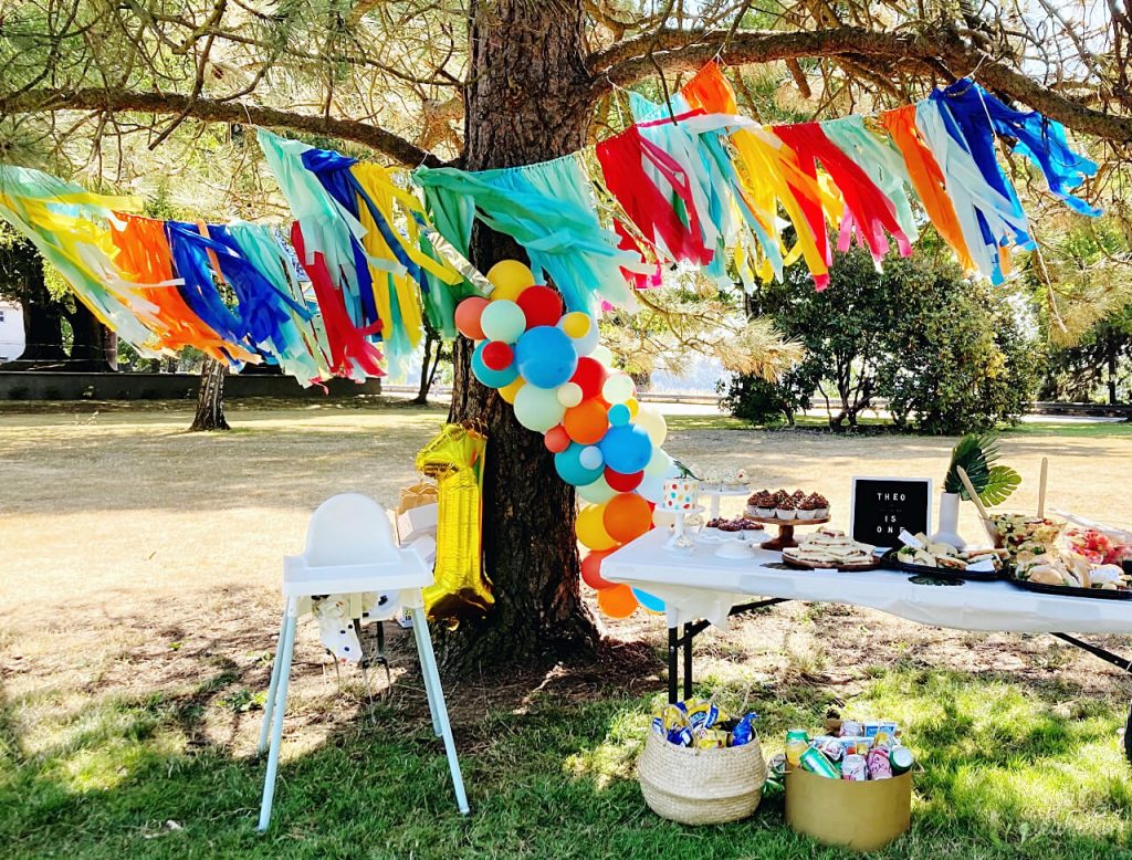 first birthday party in the park