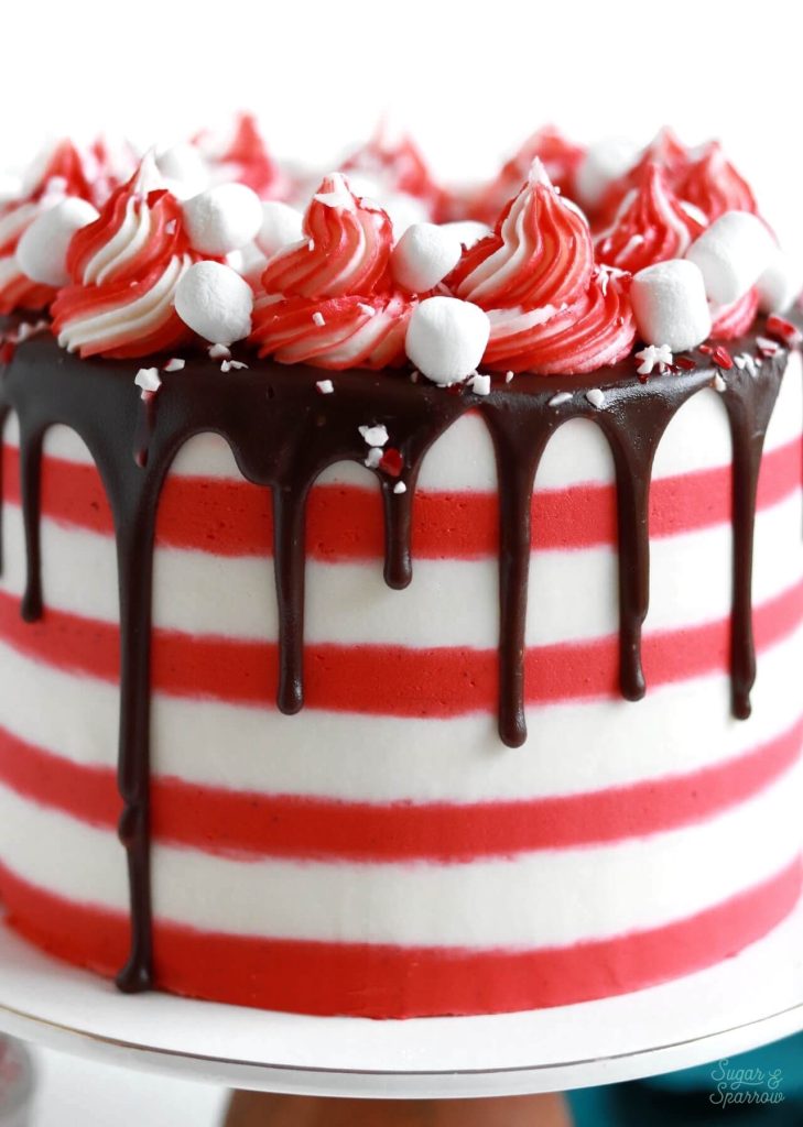 Peppermint chocolate cake with buttercream stripes