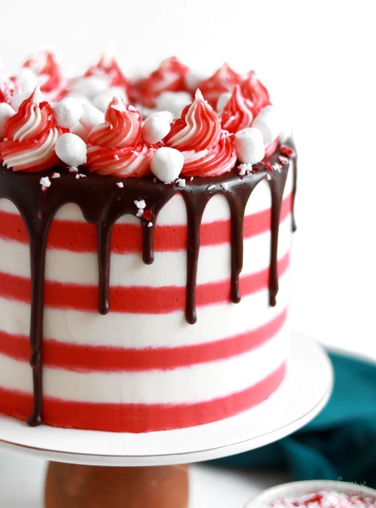 Hot chocolate cake with peppermint buttercream and marshmallow filling