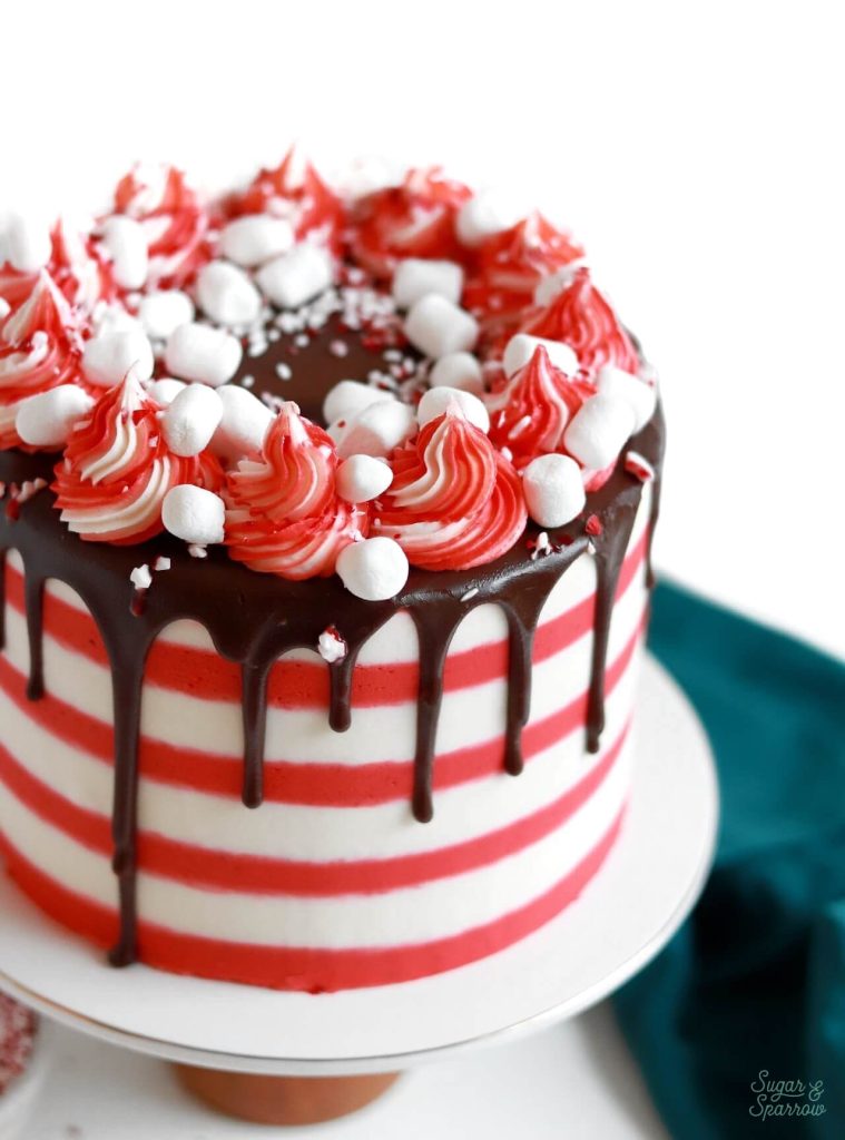 Peppermint chocolate cake recipe by sugar and sparrow