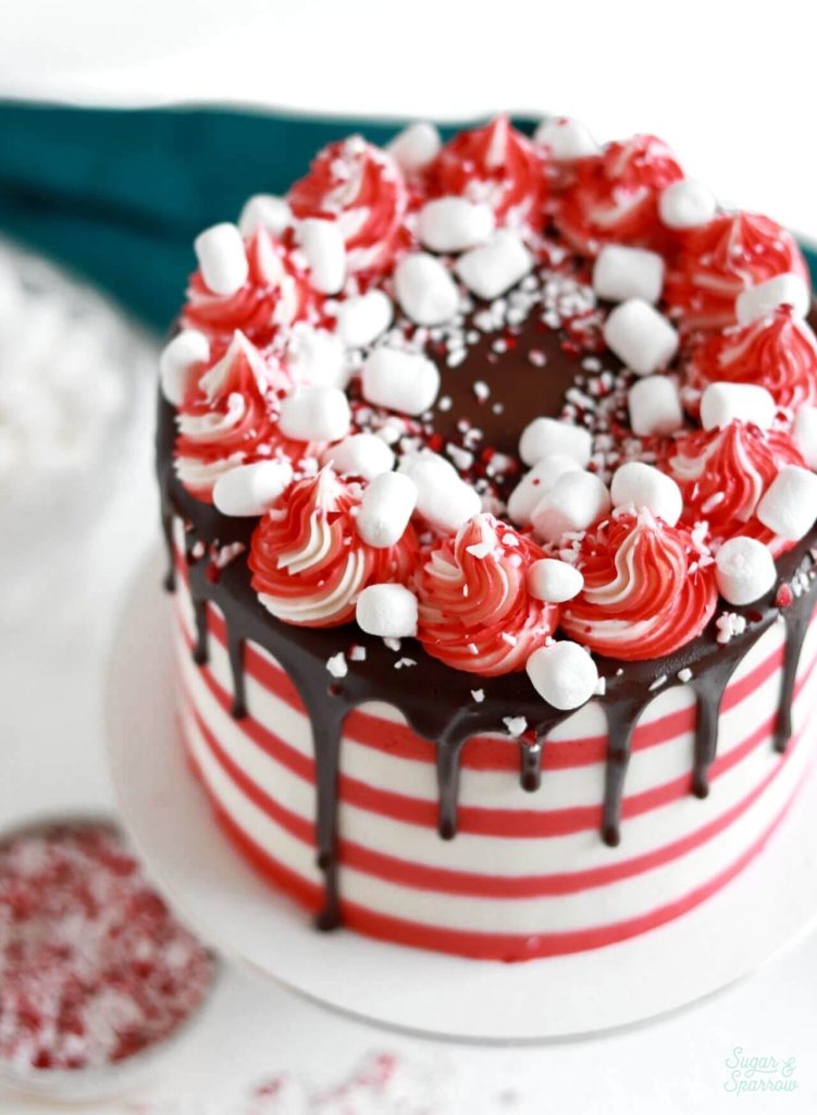 Peppermint hot chocolate cake recipe by sugar and sparrow
