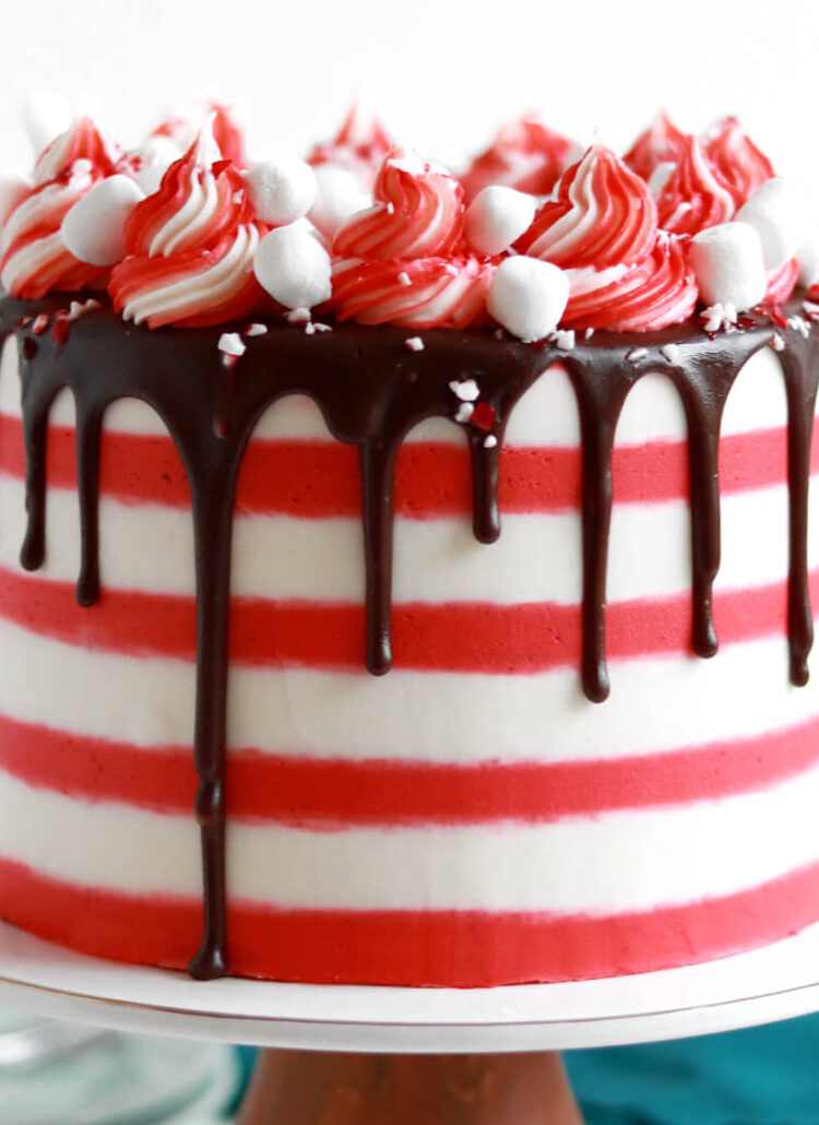 peppermint hot cocoa cake