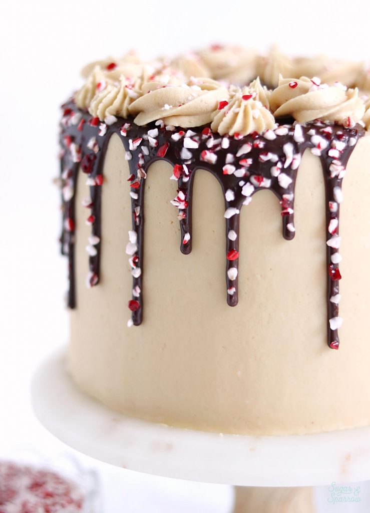 chocolate peppermint mocha cake recipe