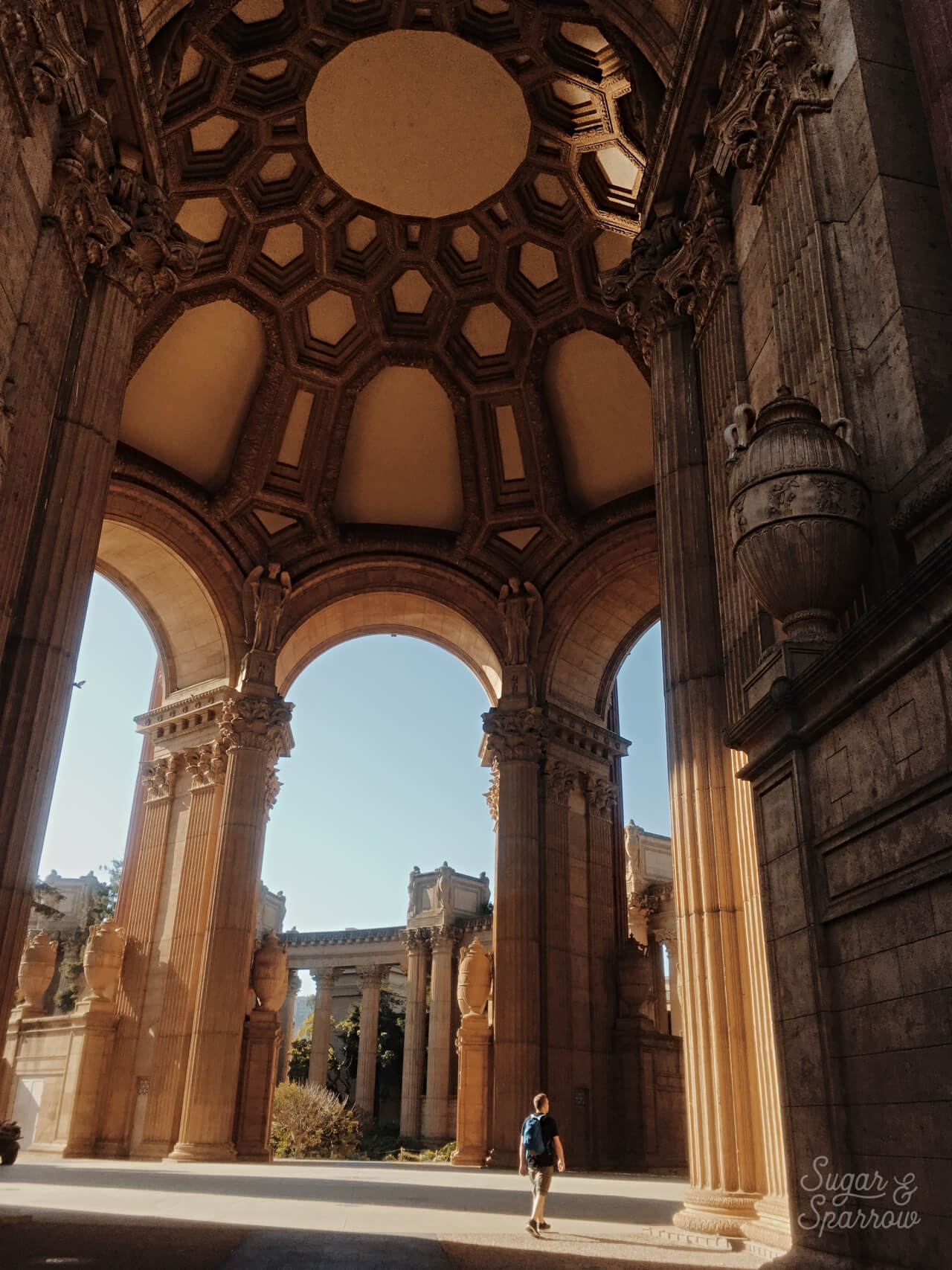 palace of fine arts san francisco