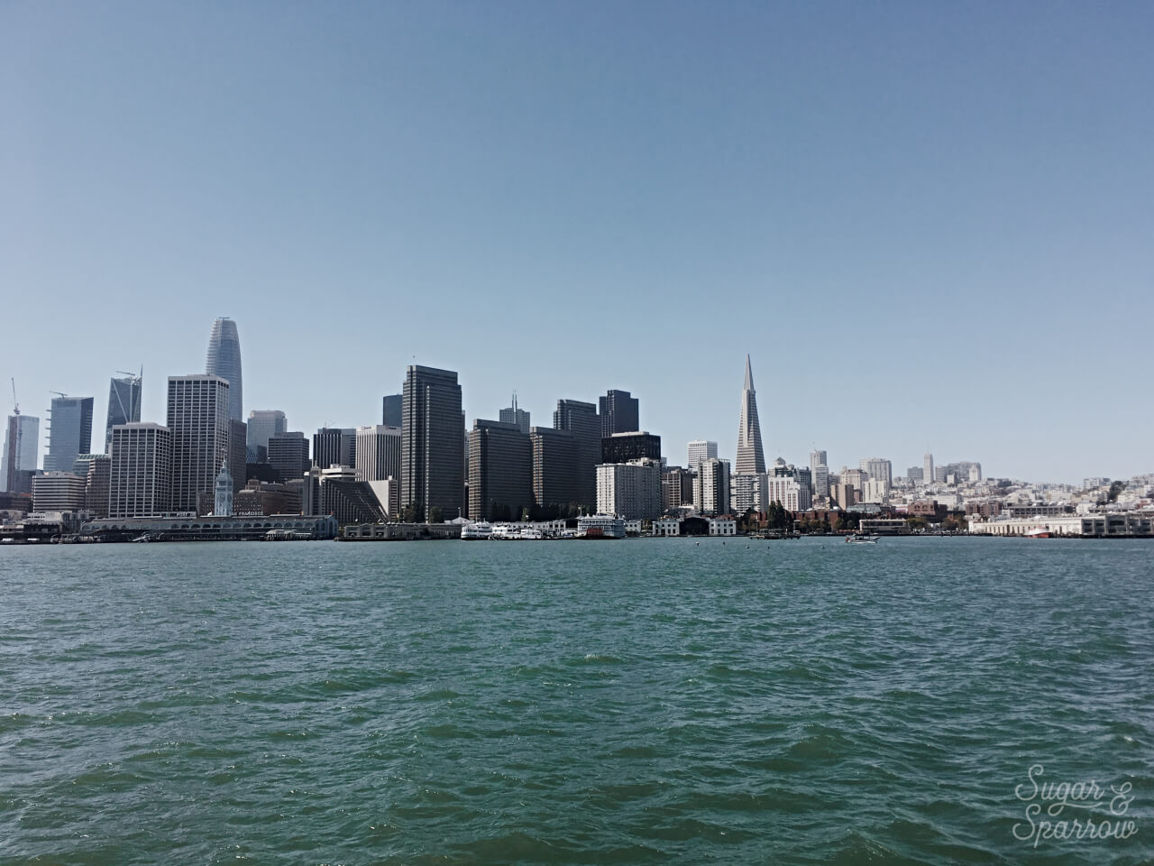 ferry from sausalito to san francisco