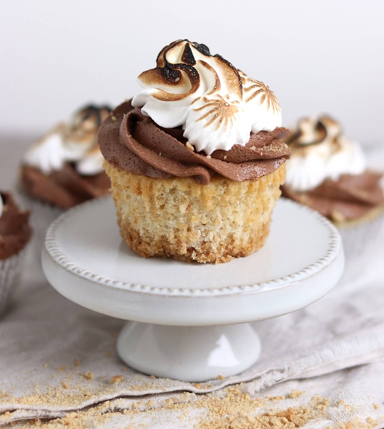 graham cracker cupcakes with chocolate buttercream and toasted marshmallow