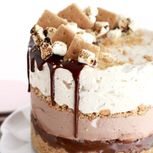 smores ice cream cake recipe by sugar and sparrow