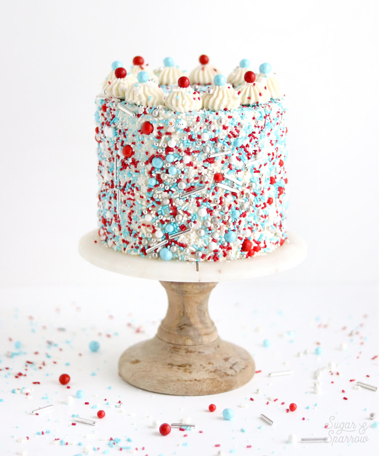 sprinkle covered cake by sugar and sparrow