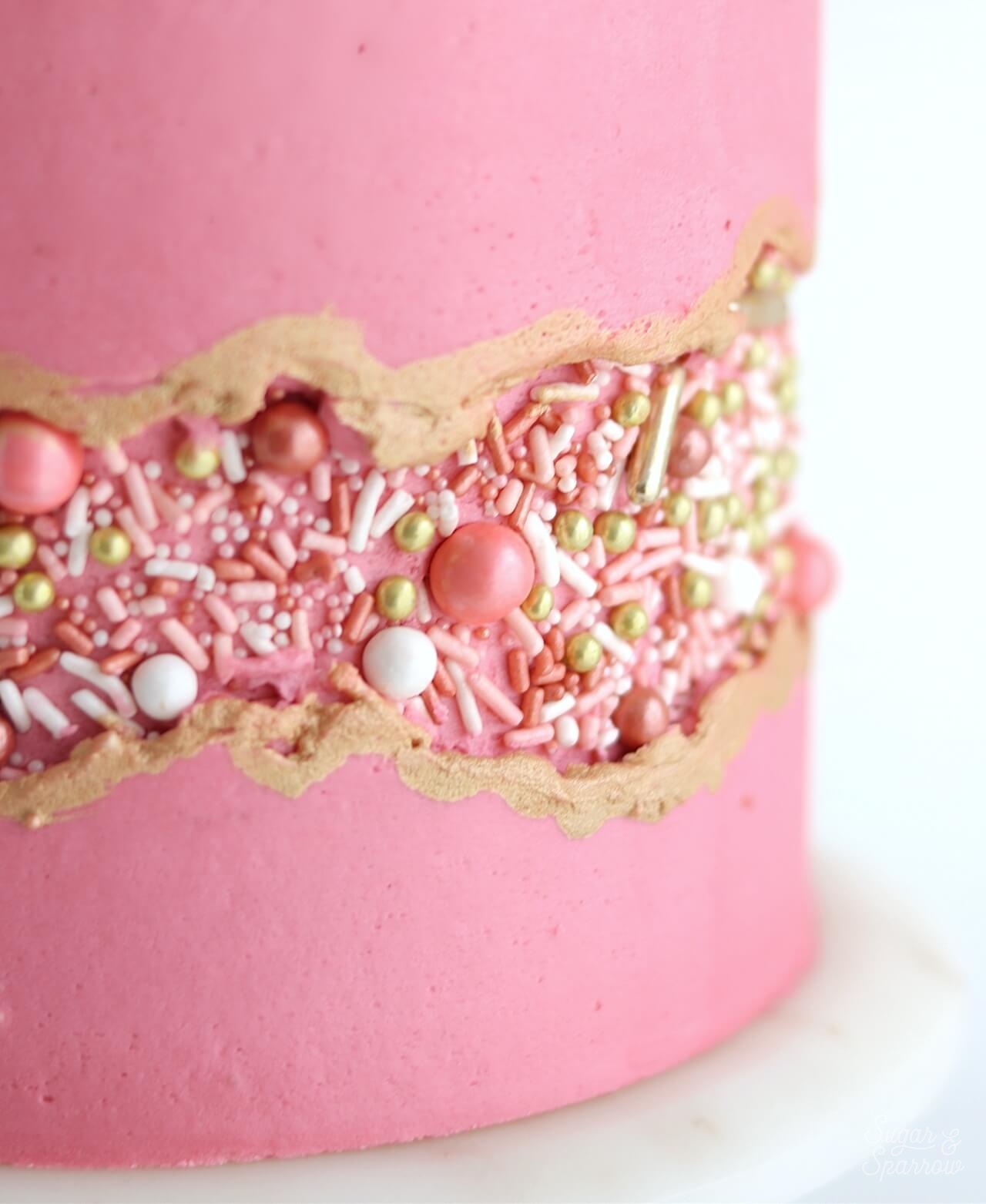 fault line cake with sprinkles