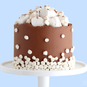 hot cocoa cake recipe by sugar and sparrow